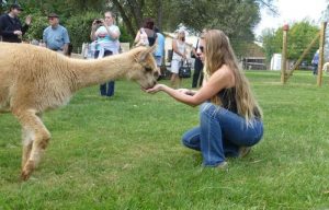 National Alpaca Farm Days in California