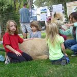 Fun Children Activities with Arapaho Rose Alpacas